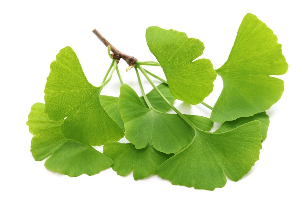 ginko biloba w kroplach Alcozar